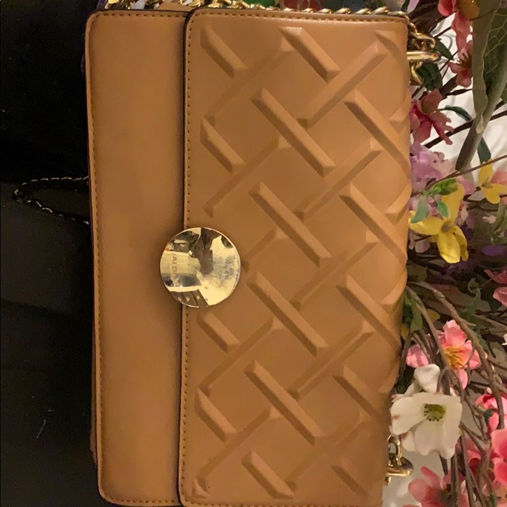 Aldo Shoulder Bag